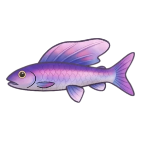 Visual Kei Fish Rare