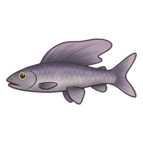 Visual Kei Fish Standard
