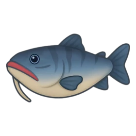 Whisker Fish Rare