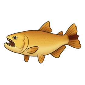 Yakuza Fish Standard